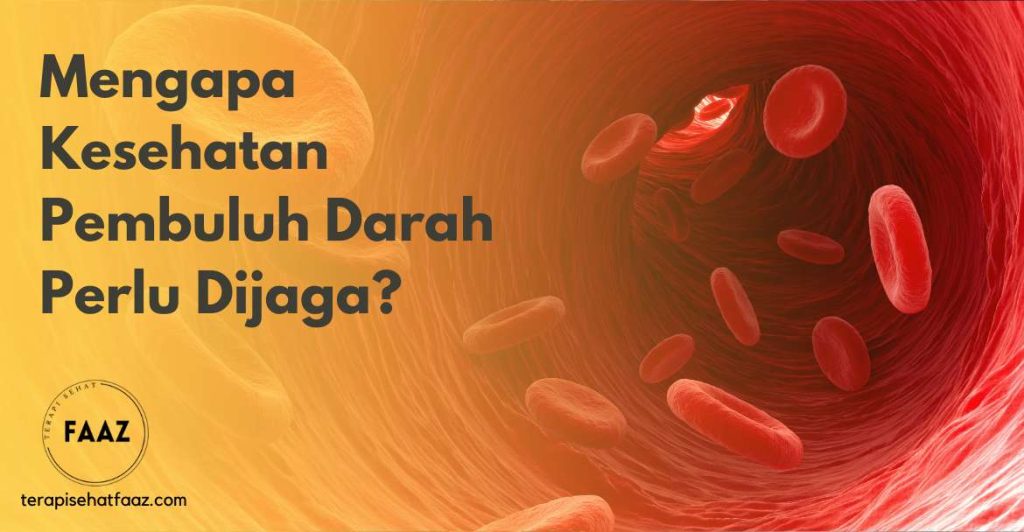 Mengapa Kesehatan Pembuluh Darah Perlu Dijaga
